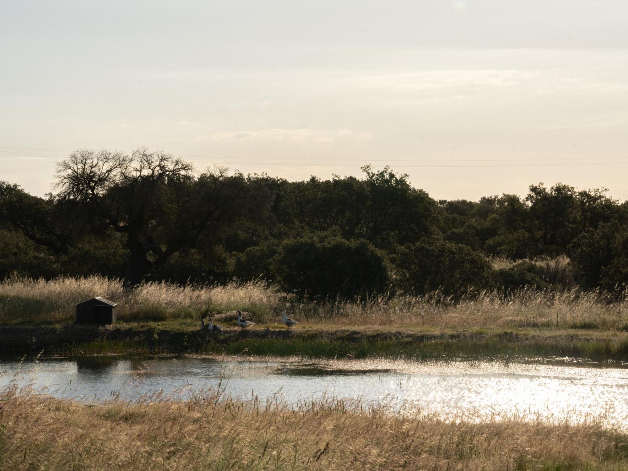 Change The World - Herdade Monte Do Peral Montes Juntos Exterior photo