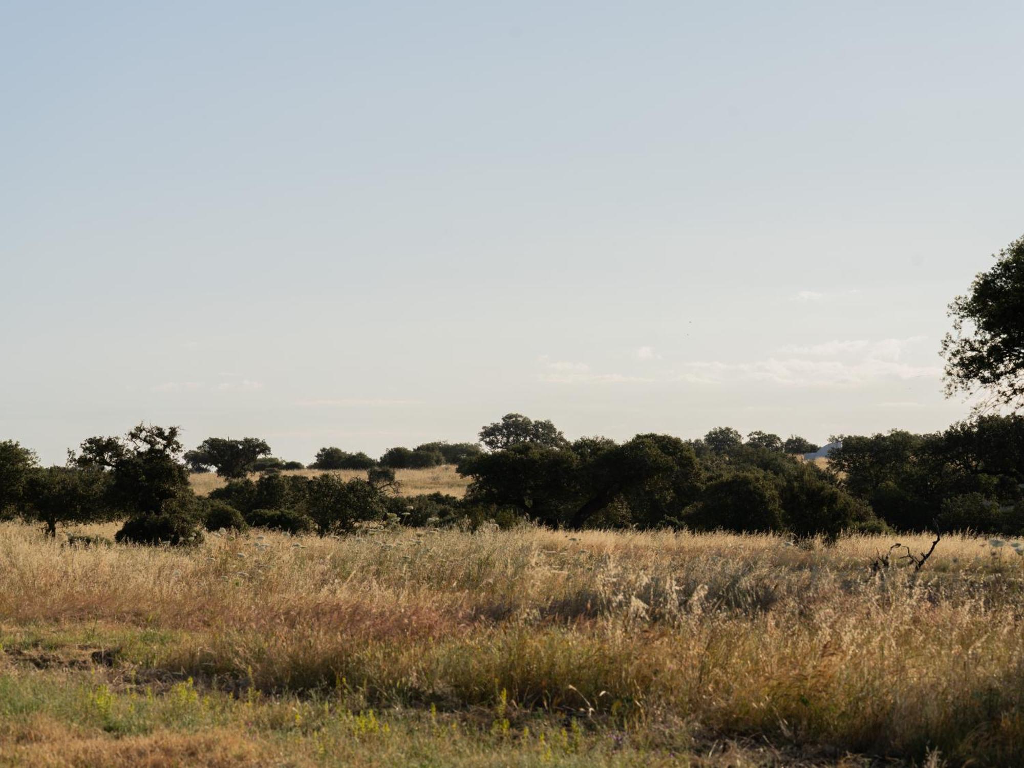 Change The World - Herdade Monte Do Peral Montes Juntos Exterior photo